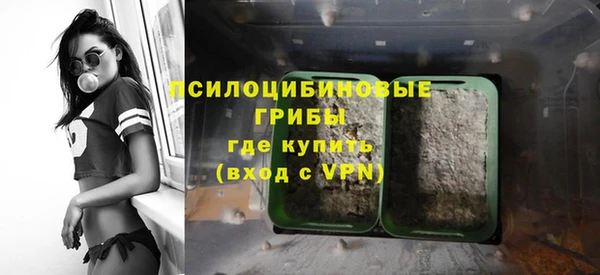 прущие крисы Арсеньев