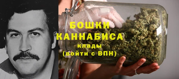 прущие крисы Арсеньев
