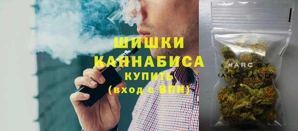 СК Сосновый Бор